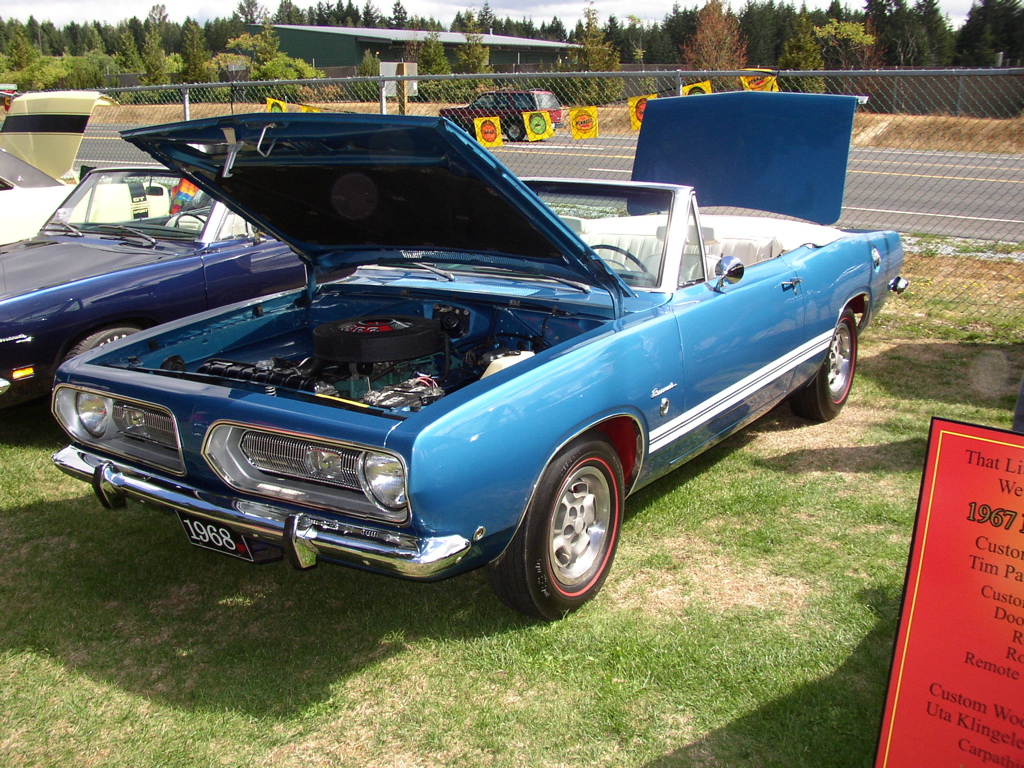 P1010117.JPG